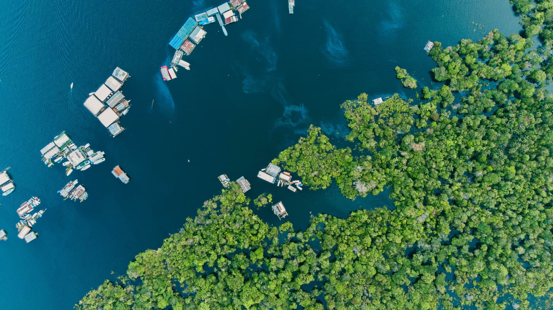 Galápagos Islands: A Dive into Evolution